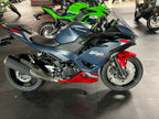 Kawasaki Spiegel-Abdeckung