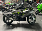 Kawasaki Spiegel-Abdeckung